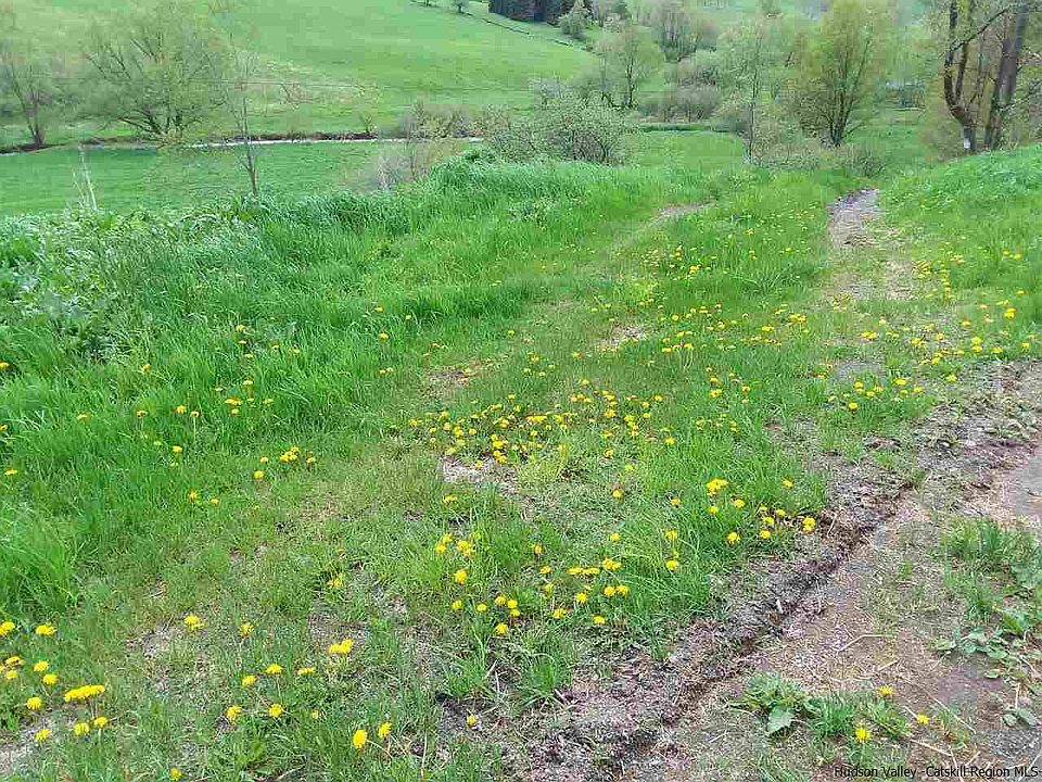 2nd image of 0000 Roses Brook