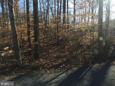 8117 Oak St, Manassas, VA, 20111
