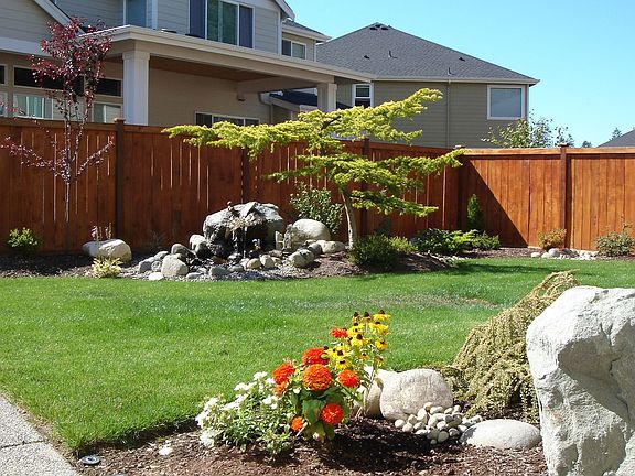 Mi Back Yard