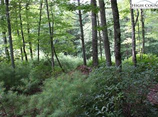 11 & 12 Walden Ln, West Jefferson, NC 28694