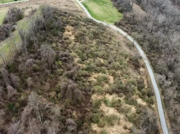 TBA Alexander Estates, Triadelphia, WV 26059