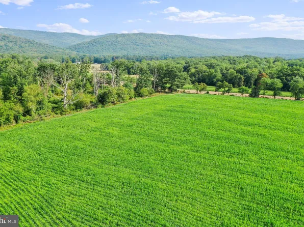 Stultz Gap Rd, Woodstock, VA 22664