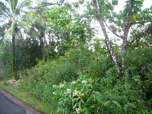 1st image of Makamae St Lot 39