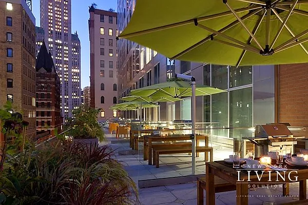 Rented by NY Living Solutions | media 29