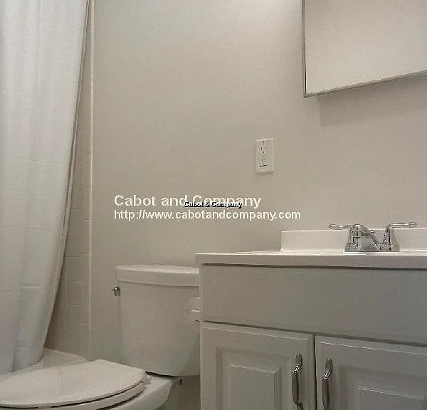 115 Beacon St #11 — Photo 6