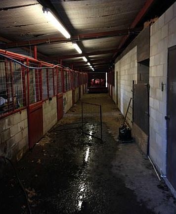 Indoor stall entrances