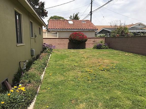 Back yard