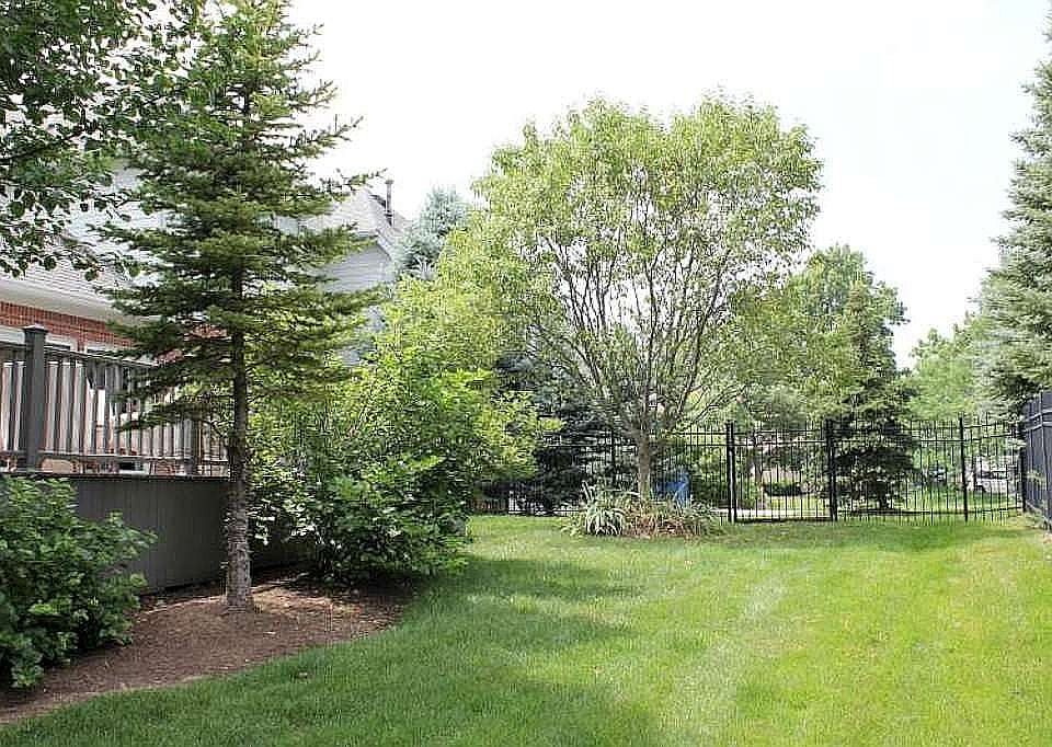 Fenced Backyard