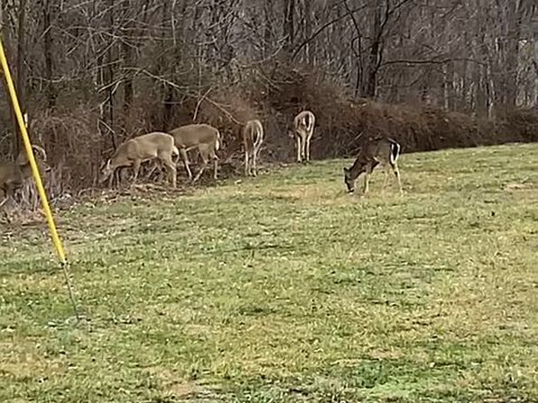 274 Wesley Miller Ln