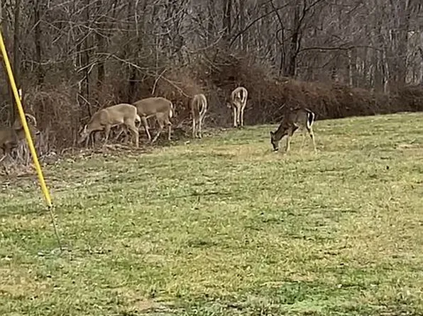 274 Wesley Miller Ln, Harrodsburg, KY 40330