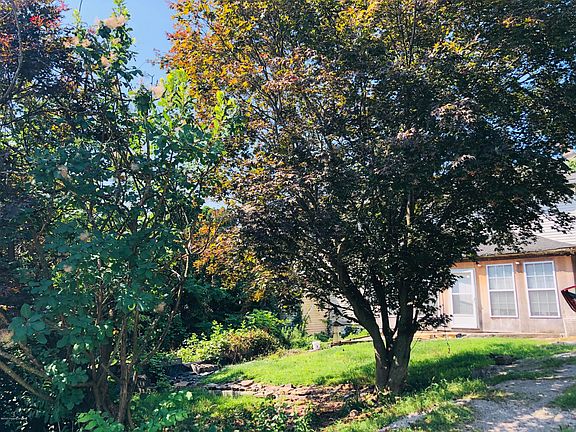 4th image of 159 Hillside Ave