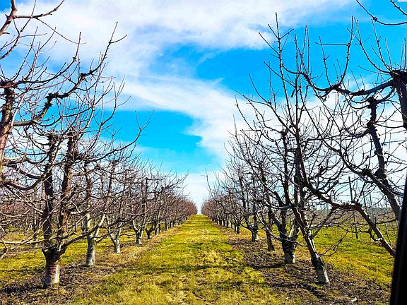 2nd image of Nka Sagehill Rd