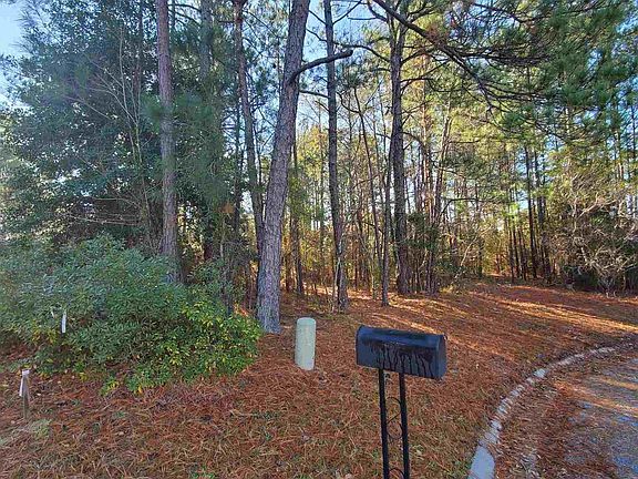 5th image of 528 Meadowbrook Dr