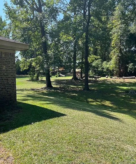 Back yard
