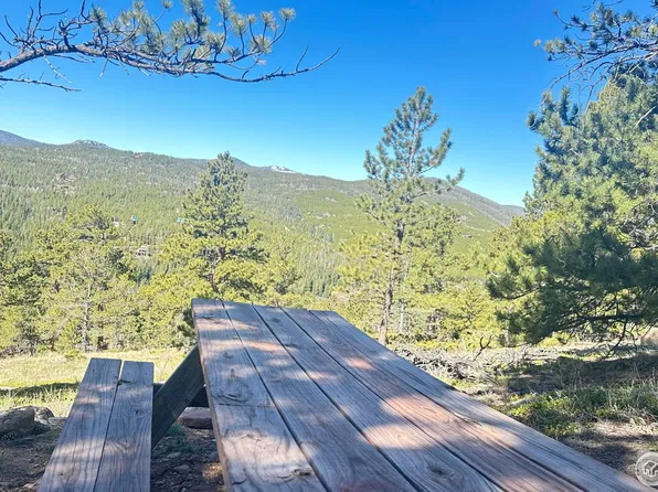 1147 Osage Trl, Red Feather Lakes, CO 80545