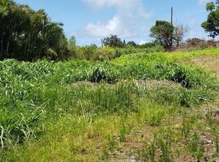 55-532 Banana Ranch Rd #3-A, Hawi, HI 96719