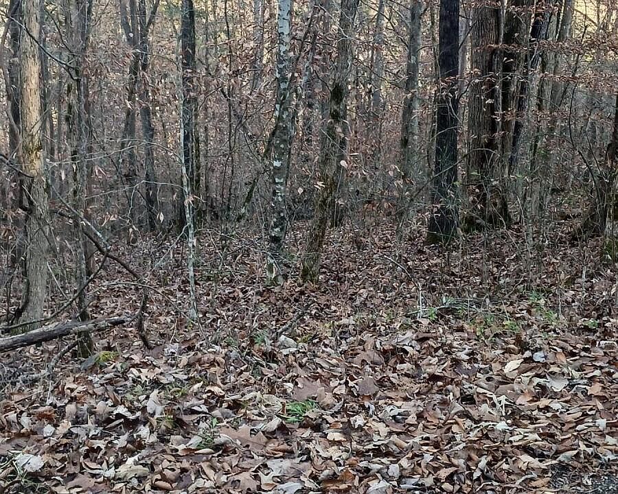 1st image of Braden Chapel Rd