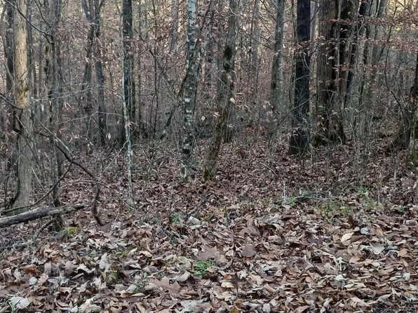 Braden Chapel Rd, Speedwell, TN 37870