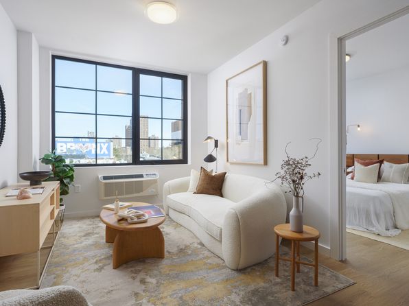 40 Bruckner Blvd #1217