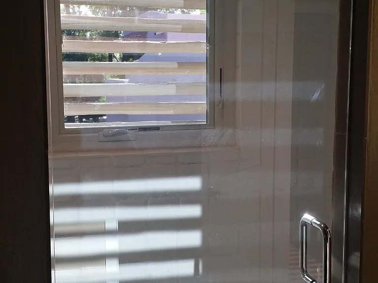 Shower room door