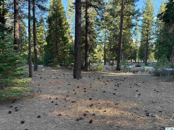 0 Janet Way, Susanville, CA 96130