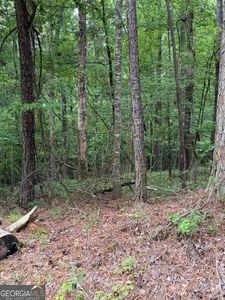 177 Laurel Way, Sparta, GA, 31087