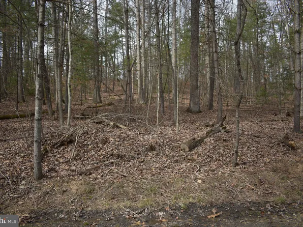 Crabapple Rd, Mount Jackson, VA 22842