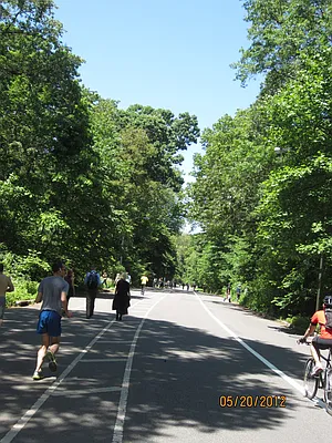 Rented by Space Real Estate | media 35