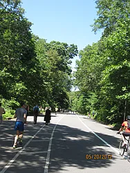 Rented by Space Real Estate