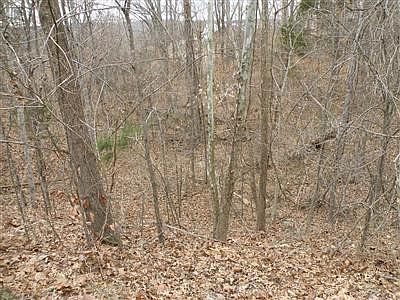 2nd image of 0 Binkley Ln Lot 2A