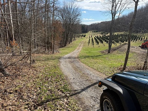 2nd image of 0 Prospect Rd