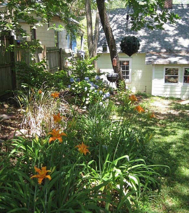 Drought tolerant landscape, shaded backyard