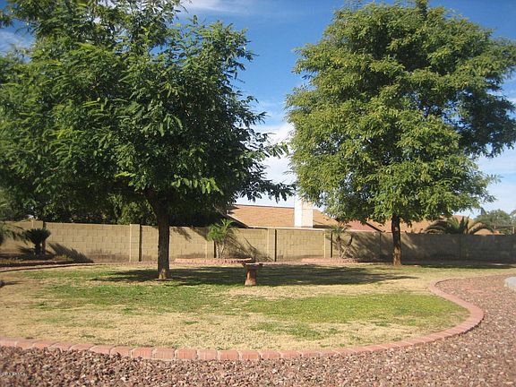 Huge trees. *Rocks removed