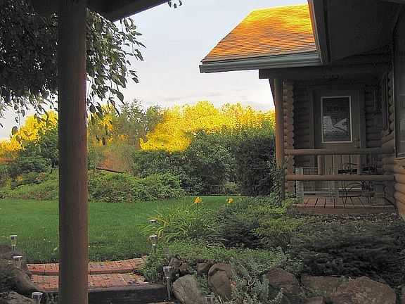 Afternoon sun gilds the roof above the front porch