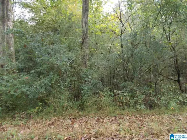 4017 Graham Dr Lot 6, Birmingham, AL 35214