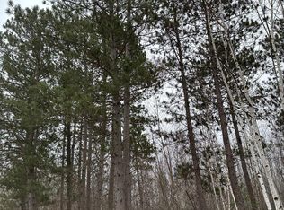 Swamp Lake Rd #4069-16, Tomahawk, WI 54487