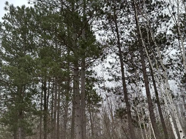 Swamp Lake Rd #4069-16, Tomahawk, WI 54487