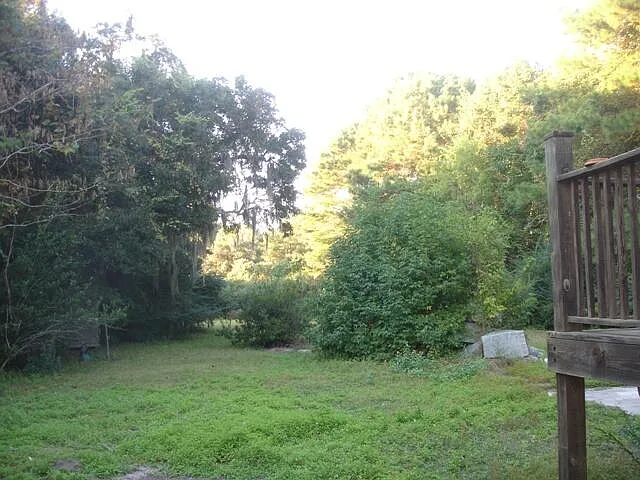 1394 Porchers Bluff Rd — Photo 13