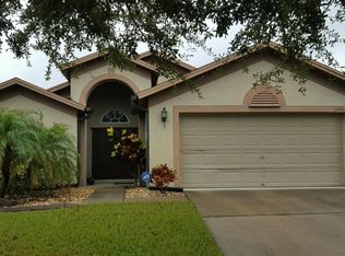 11001 Silver Dancer Dr, Riverview, FL 33579