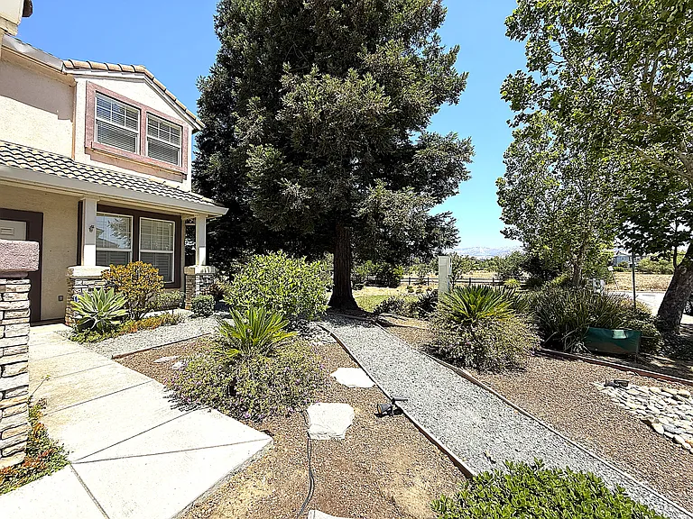 Low Maintenance Front Yard