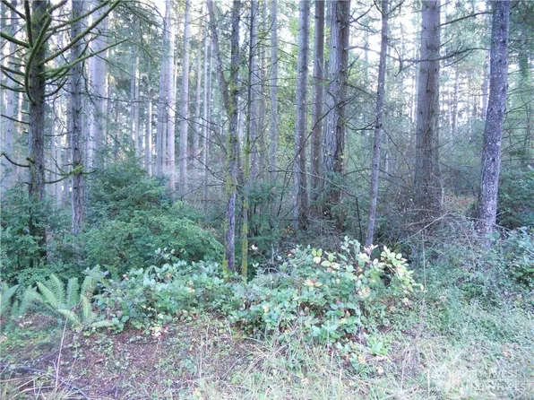 10117 Lake Florence, Anderson Island, WA 98303