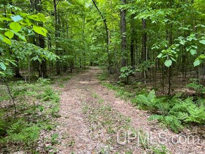 Old J Road Silver Clf #T, Athelstane, WI, 54104
