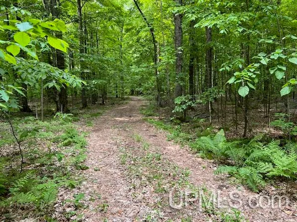 Old J Road Silver Clf #T, Athelstane, WI 54104