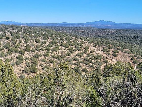 5th image of 929 Forest Service Rd 721 A -- #929