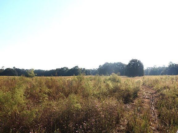 5th image of 841 County Farm Rd