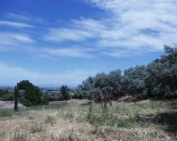2nd image of LOT 3 Spring Ln
