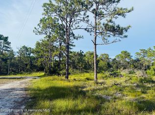 0 Parallel Rd, Weeki Wachee, FL 34614