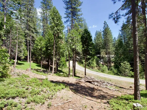 1723 Columbia Way, Arnold, CA 95223