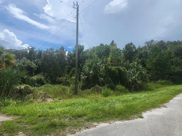 Paradise Blvd, Georgetown, FL 32139
