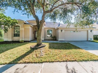 18147 Heron Walk Dr, Tampa, FL, 33647